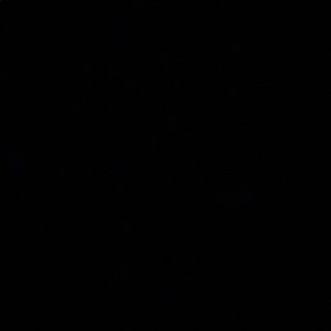 Meet your Posher, Bella